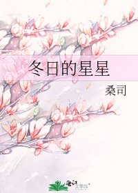 冬日的星星