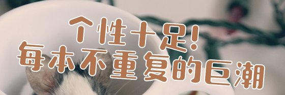 個性十足！每本不重複的巨潮